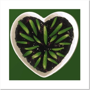 Succulent Propagating Heart Posters and Art